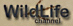 Wildlife channel
